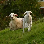 Landgasthof Entenwirt 宾馆 Tarsdorf