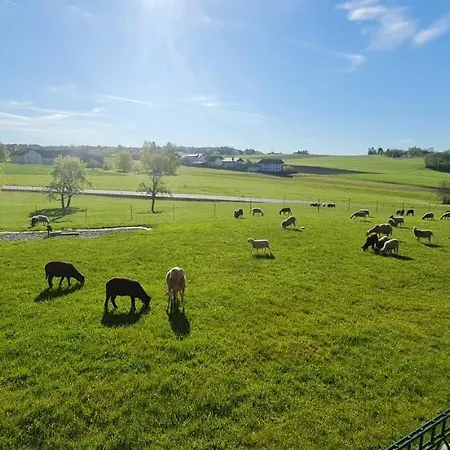 Landgasthof Entenwirt بيت ريفي 3*