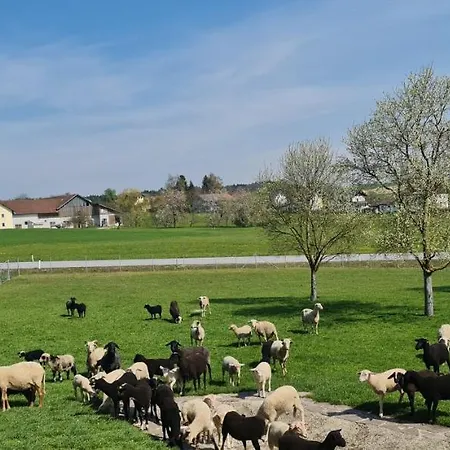 Landgasthof Entenwirt Gasthof Tarsdorf
