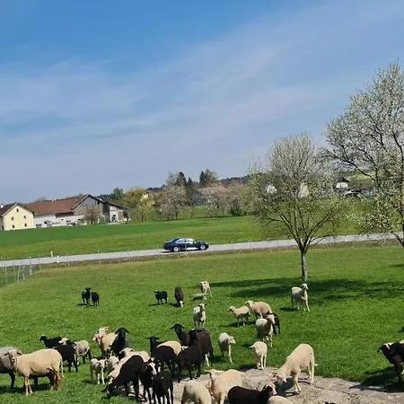 Landgasthof Entenwirt بيت ريفي 3*