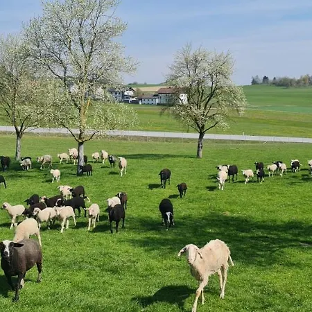 بيت ريفي Landgasthof Entenwirt