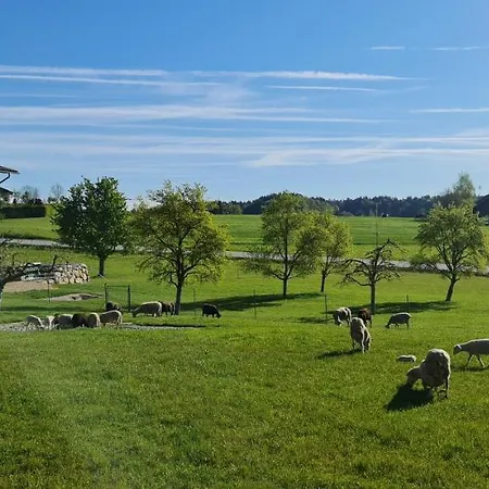 Landgasthof Entenwirt