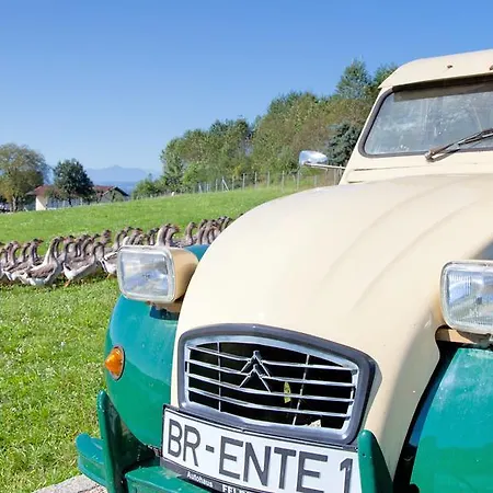 Landgasthof Entenwirt بيت ريفي 3*