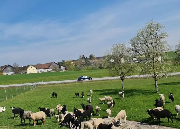 Landgasthof Entenwirt Gasthof 3*