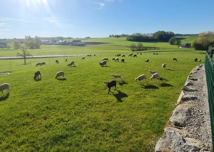 Landgasthof Entenwirt Tarsdorf