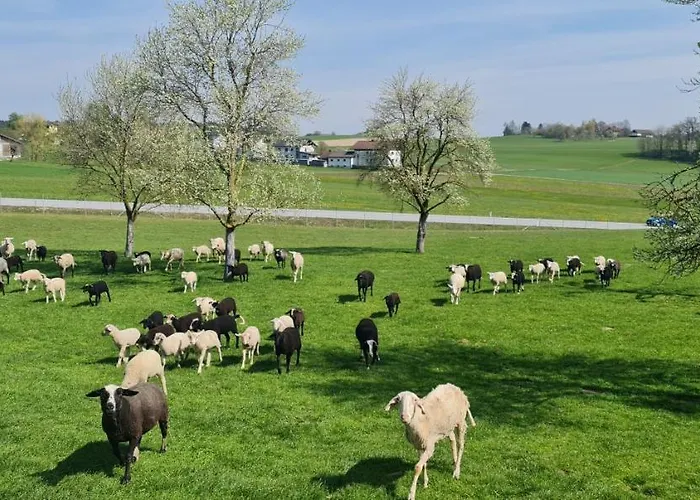 Fogadó Landgasthof Entenwirt