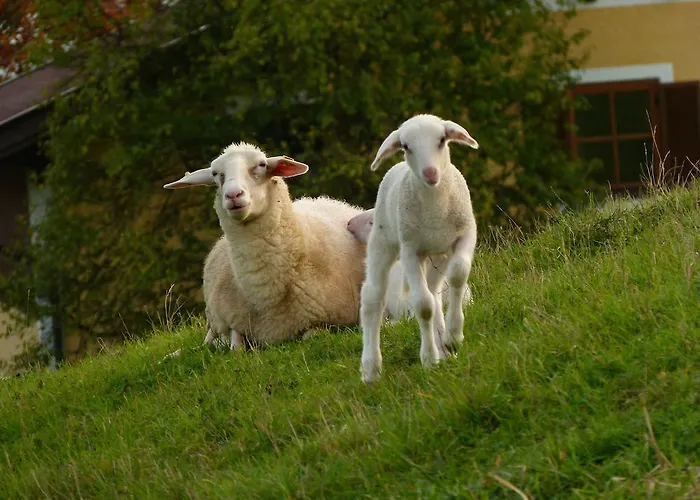 Landgasthof Entenwirt Gasthof Tarsdorf