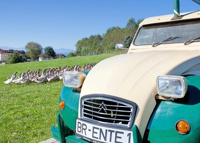 Landgasthof Entenwirt Mini-hôtel 3*