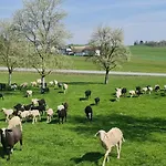 Locanda Landgasthof Entenwirt