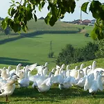 Landgasthof Entenwirt Locanda 3*