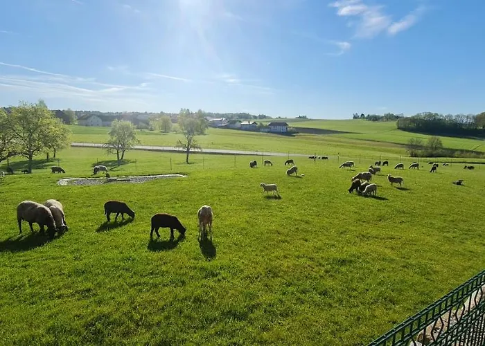 Landgasthof Entenwirt Herberg 3*