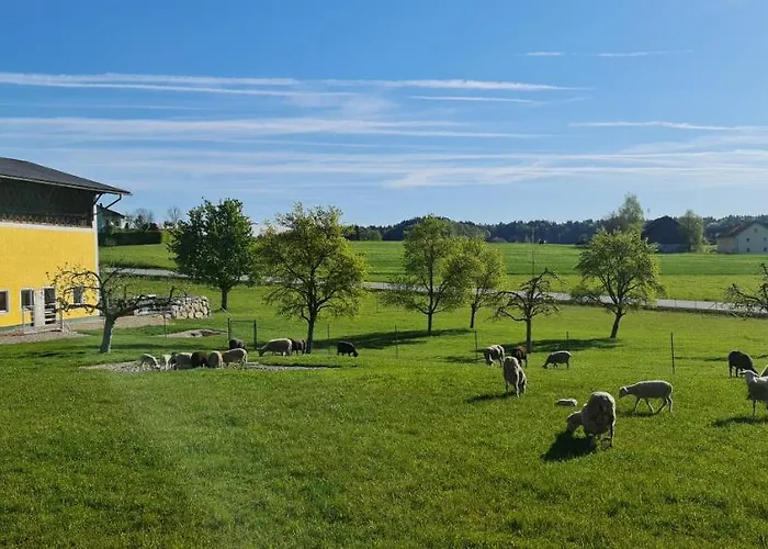 Landgasthof Entenwirt